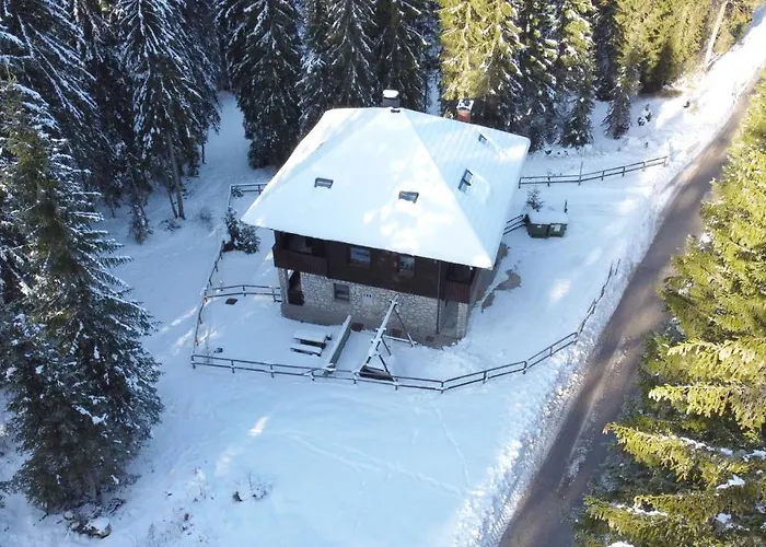 Apartments Villa Vesna Pokljuka