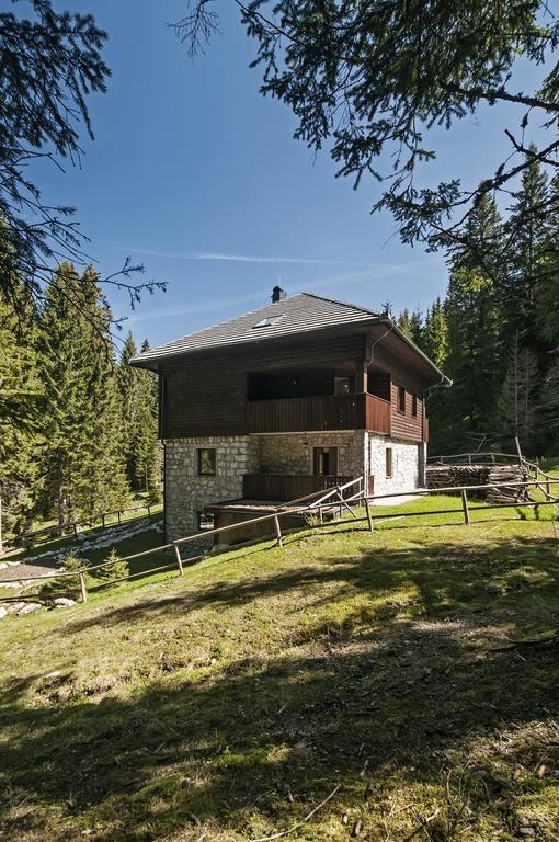 Vesna Pokljuka *