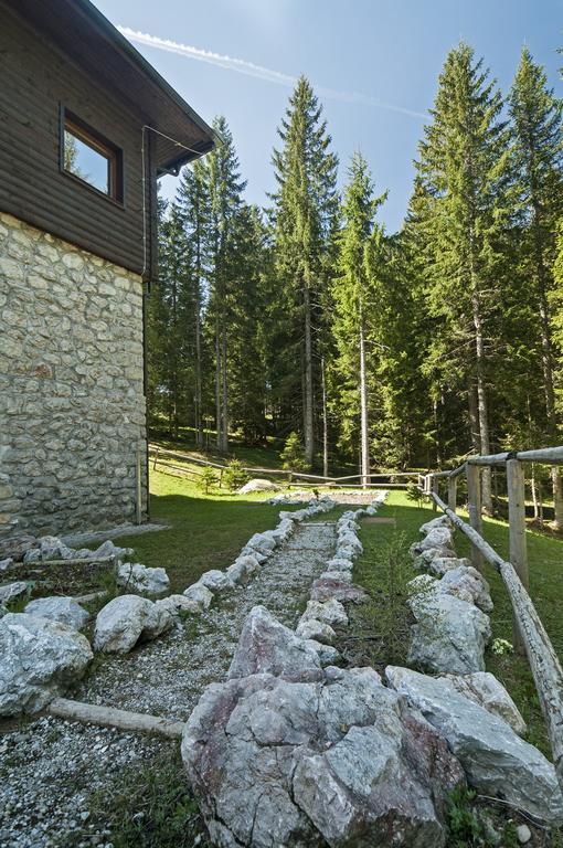 Vesna Pokljuka
