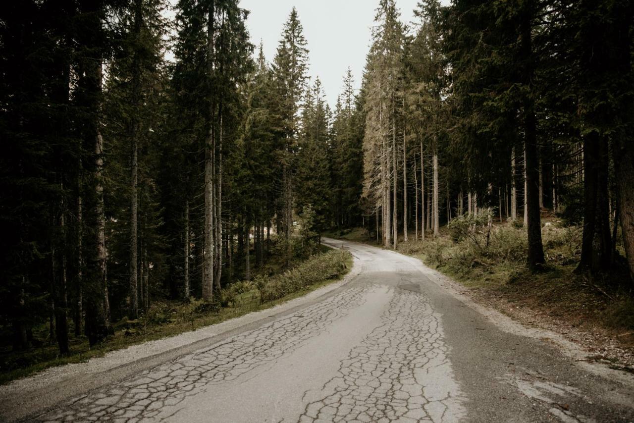 Vesna Pokljuka Goreljek
